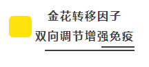 金花抗疫情 | 免疫系统：最坚固的防线 最好的医生